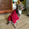 A gray dog wearing a red fleece hoodie standing on a wooden floor.