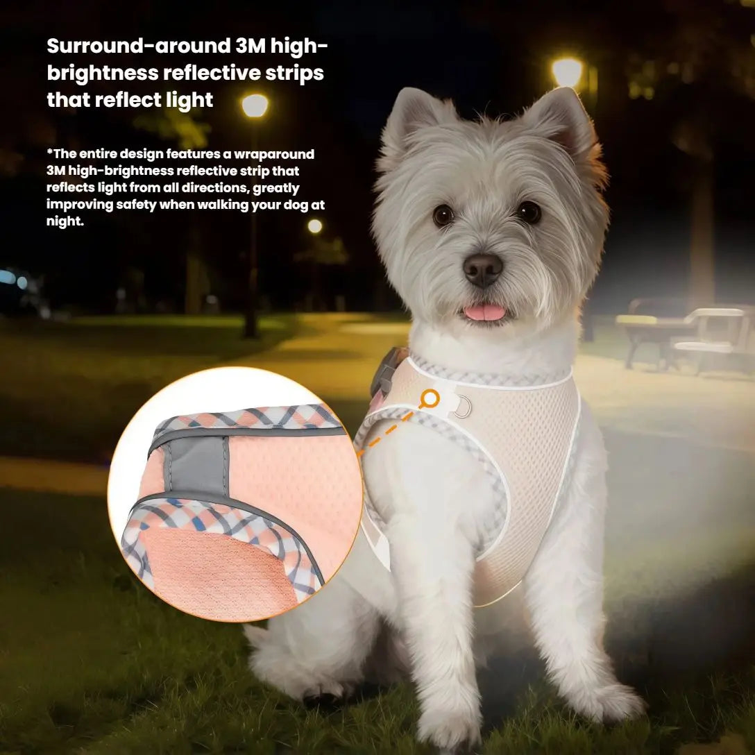 A white dog wearing a reflective harness is sitting outdoors in the evening light.