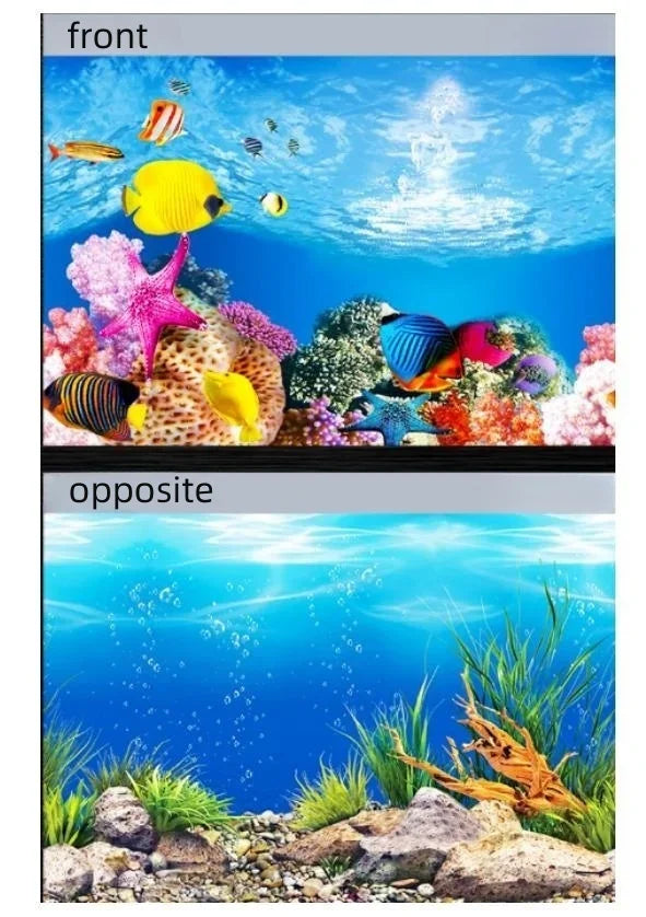 Vergleich der Front- und Rückansicht eines 3D-Aquarium-Hintergrundaufklebers mit bunten Fischen und Meereslebewesen