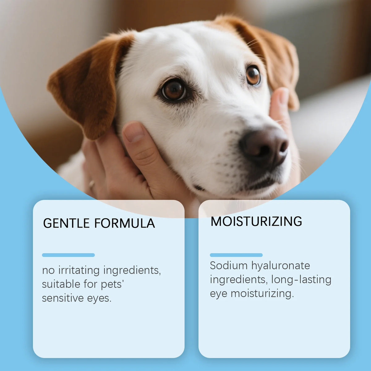 Nahaufnahme eines Hundes, dessen Gesicht sanft berührt wird, hervorhebend eine sanfte Formel für Augenpflege für Haustiere.