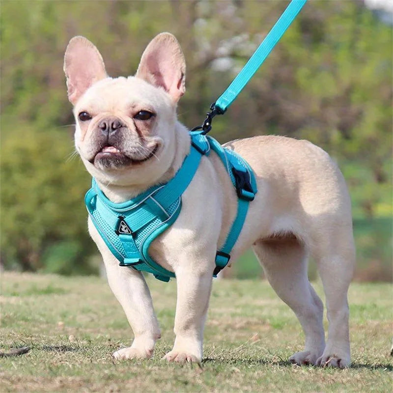 Adjustable No-Pull Dog Harness with Reflective Leash Set