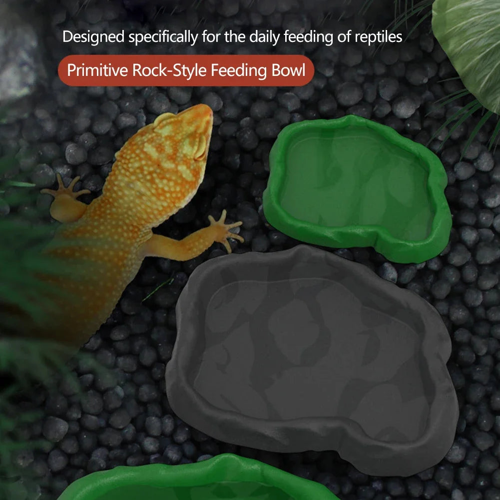 A primitive rock-style feeding bowl for reptiles shown next to a small lizard.