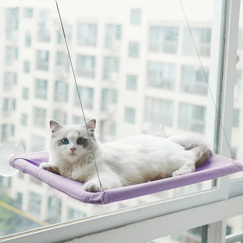 Un chat blanc se détend dans un lit-hamac violet fixé à la fenêtre.