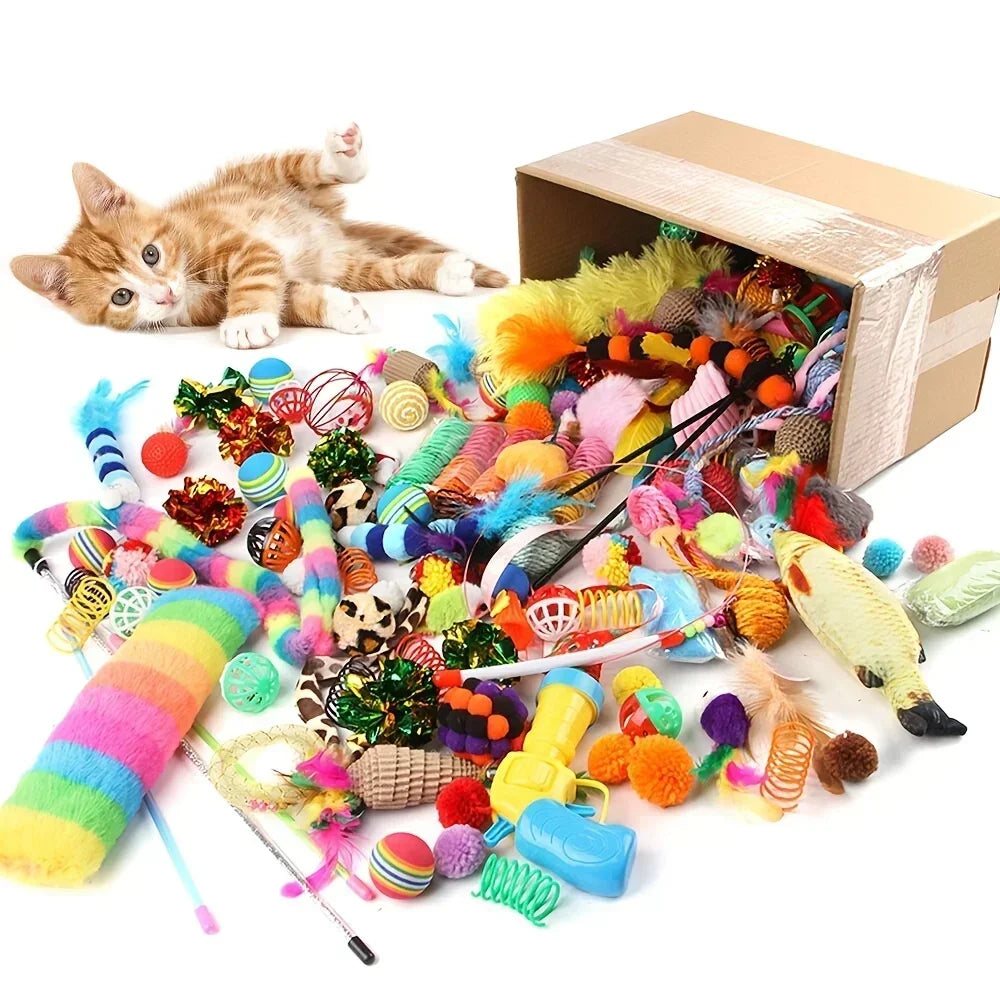 A box filled with assorted colorful cat toys including feathers, yarn, and small plastic items next to a kitten.