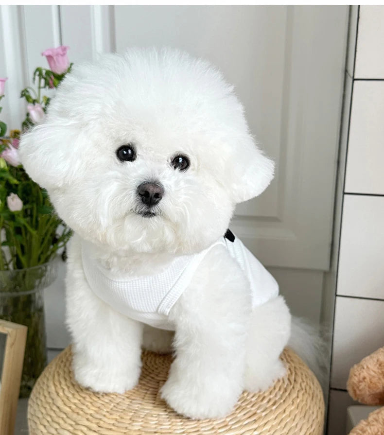 Chaleco Transpirable para Perros Pequeños
