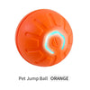 Interaktiver smarter Hundespielball