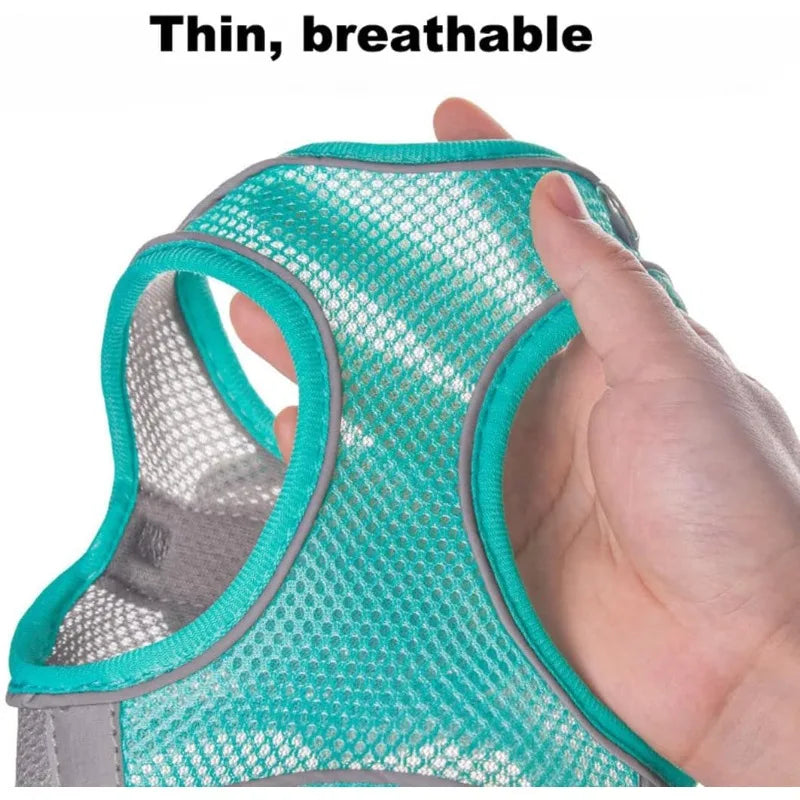 A hand is holding a turquoise mesh dog harness for a dog.