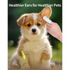 كلب صغير يتم تنظيف أذنه بواسطة شخص باستخدام قطعة قطن بيضاء.
