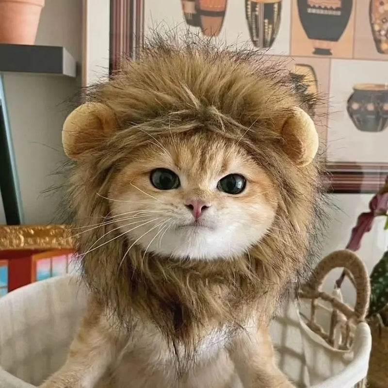 Sombrero de Melena de León para Mascotas