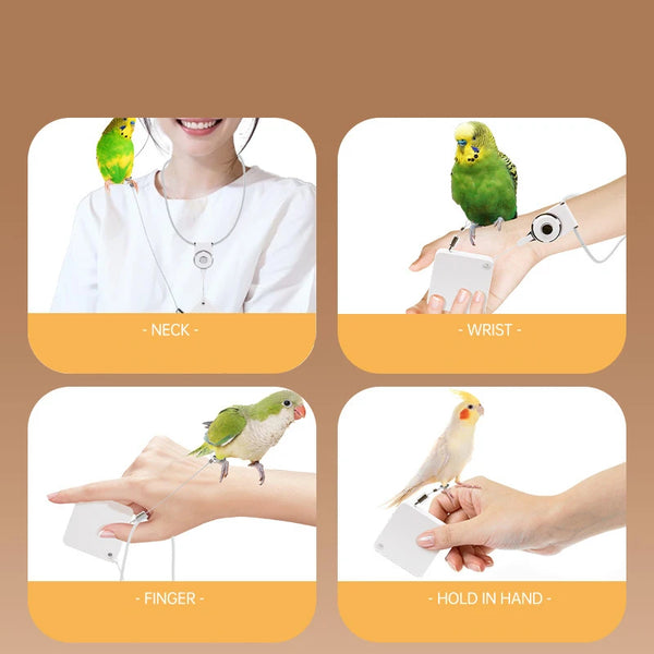 Parrot Training Leash with Auto Retractable Cord