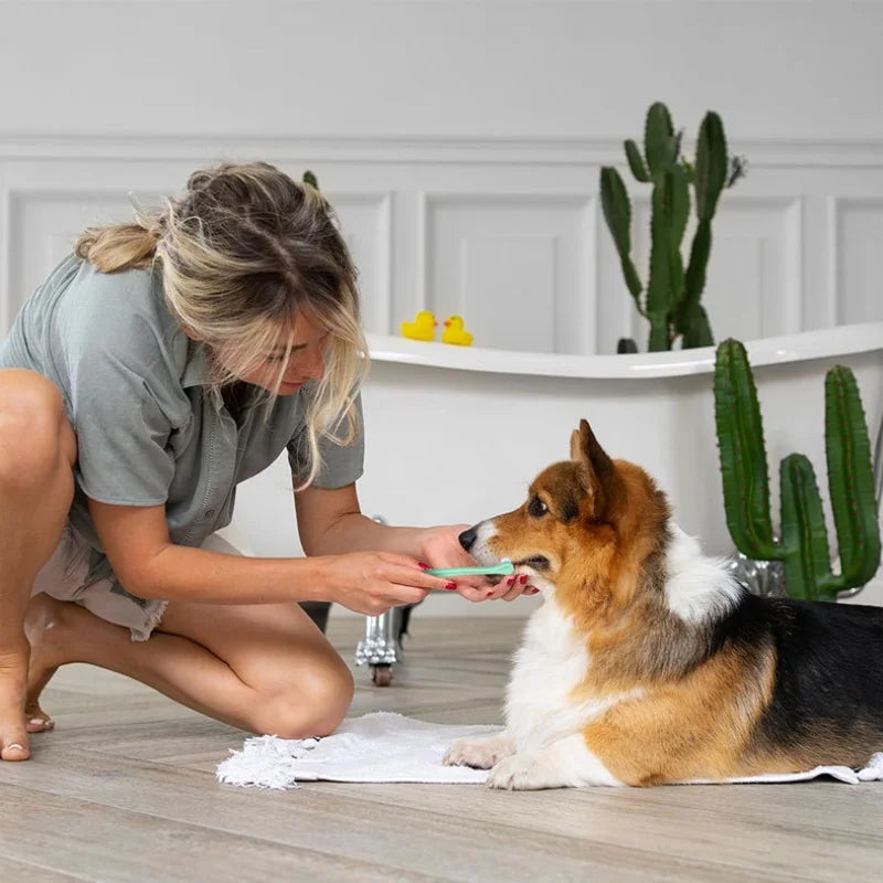 Brosse à dents pour animaux avec tête compacte
