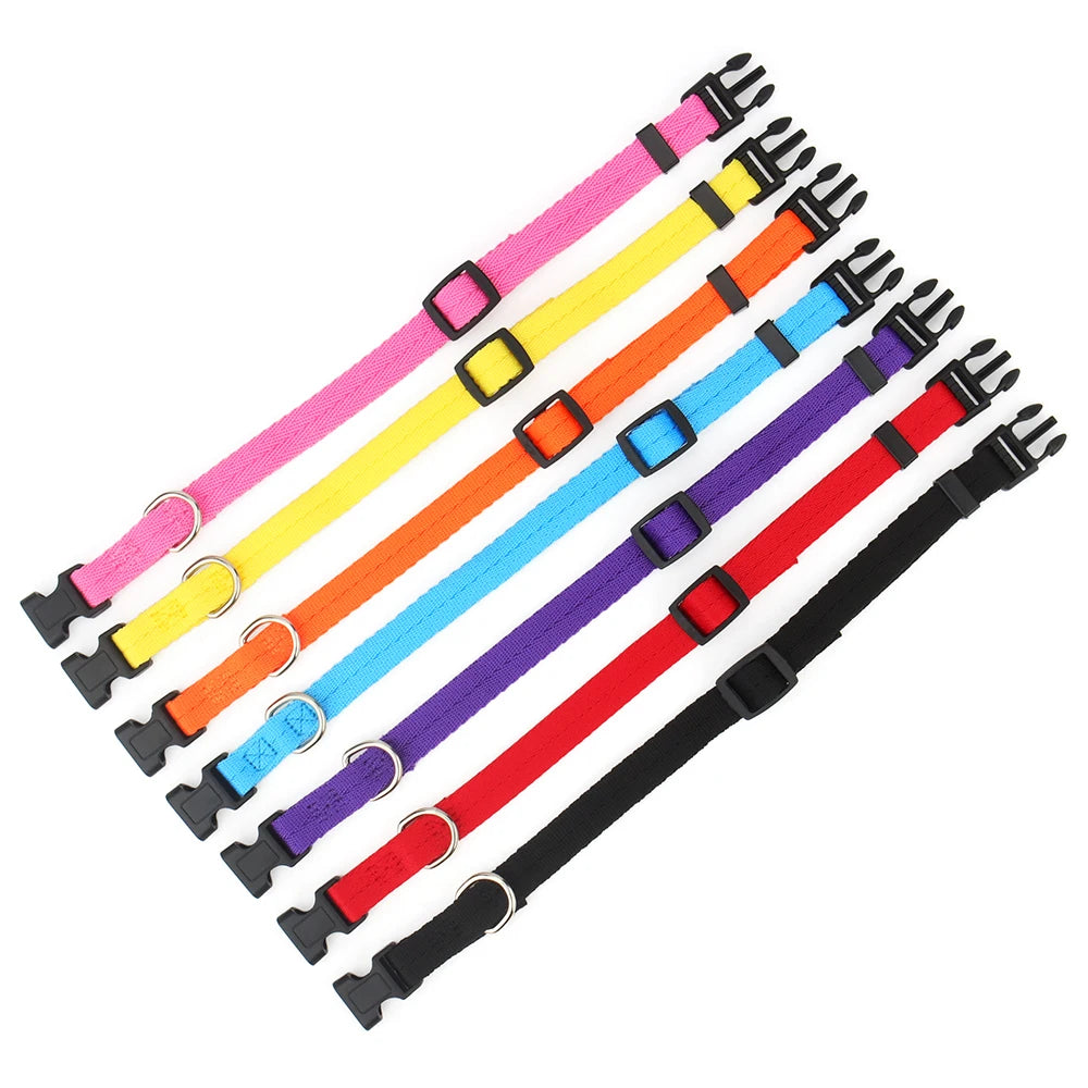 A collection of colorful adjustable nylon dog collars with quick-release buckles arranged diagonally.