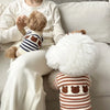 A small dog is resting on a person's lap, wearing a striped bear cardigan pet sweater.