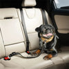 A black pug dog is sitting on a light-colored car seat with a reflective leash attached.