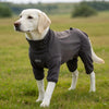 Cozy High-Collar Dog Pajamas – Four-Legged Sleepwear for Large Breeds