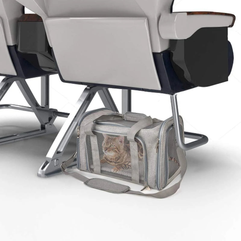 Transporteur pour animaux de compagnie souple et pliable pour chats & petits chiens
