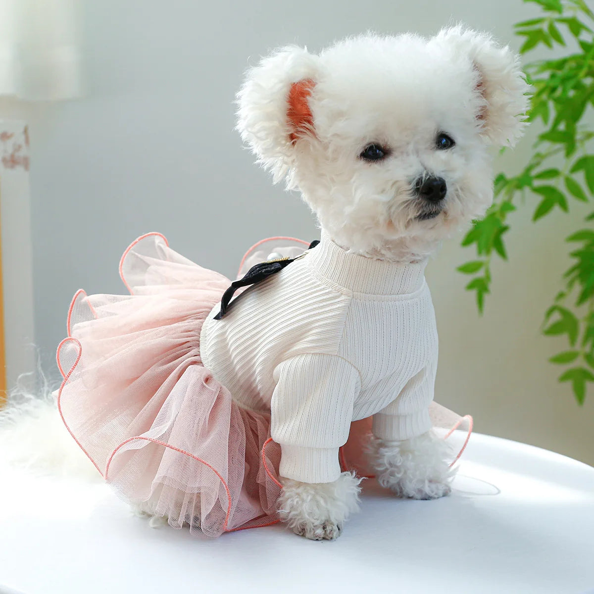 Tutu Princess Dog Dress with Lace Trim