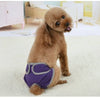 Reusable Dog Diapers for Heat Cycles and Incontinence