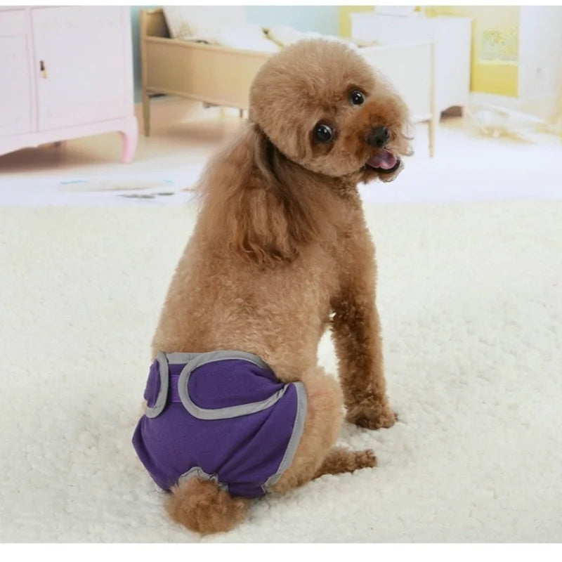Reusable Dog Diapers for Heat Cycles and Incontinence