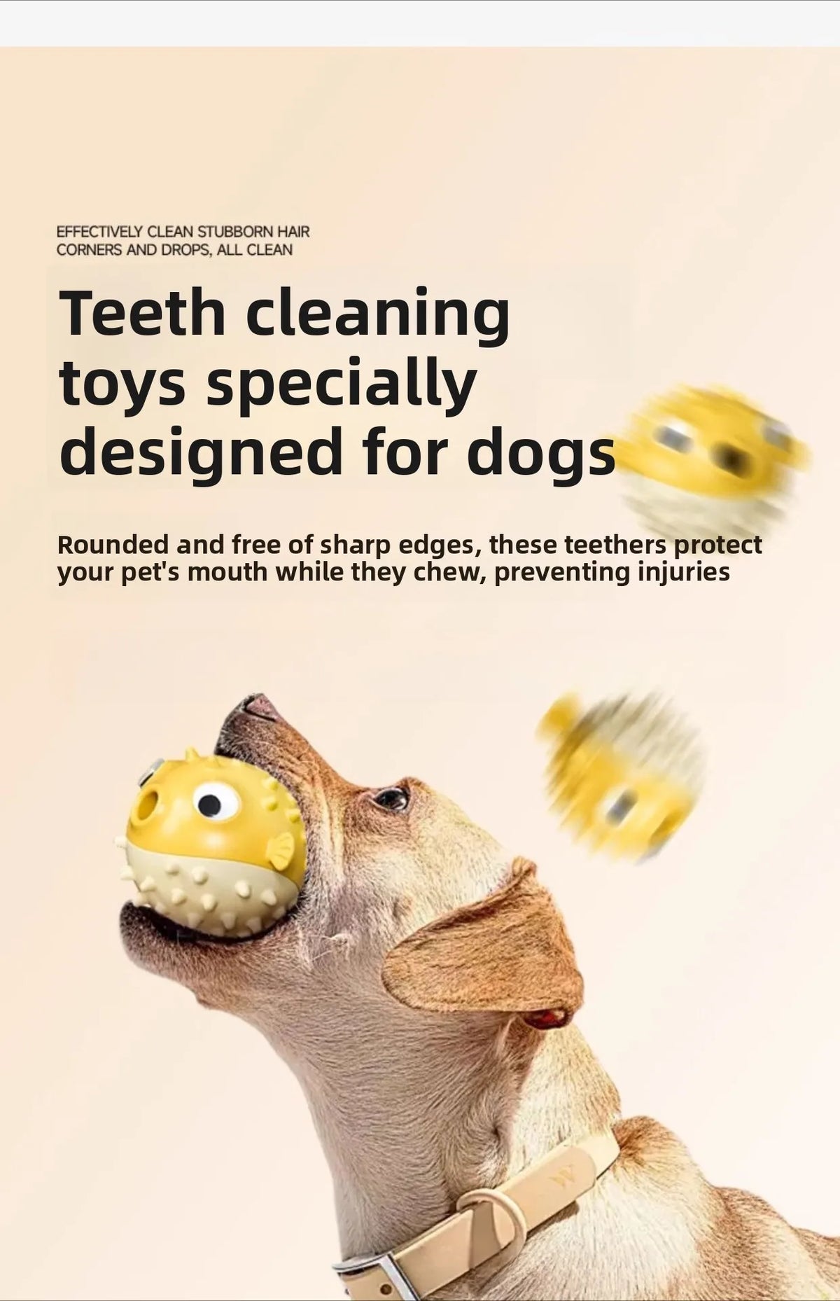 A dog is chewing a yellow, rounded teeth cleaning toy designed to protect the pet's mouth.