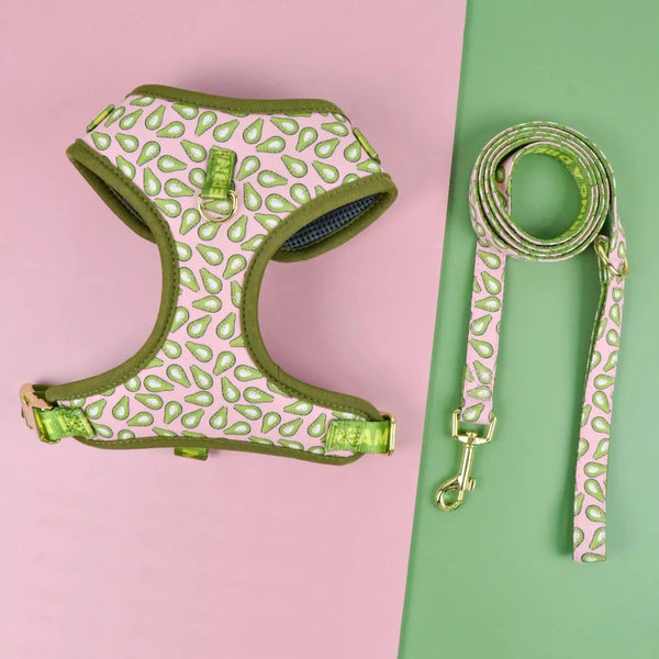 A pink and green adjustable pet harness and matching leash displayed on a light pink and green background.