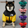 A fluffy black dog wearing a black and yellow puffer coat with a white logo.