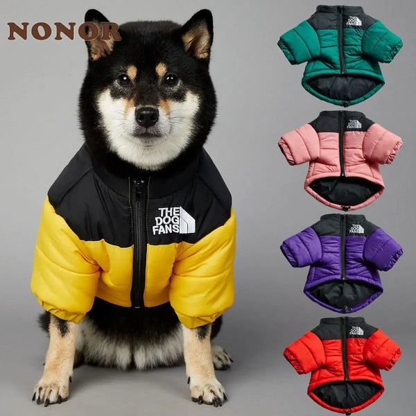 A fluffy black dog wearing a black and yellow puffer coat with a white logo.