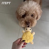 Peluche de Tortuga Mini para Cachorros