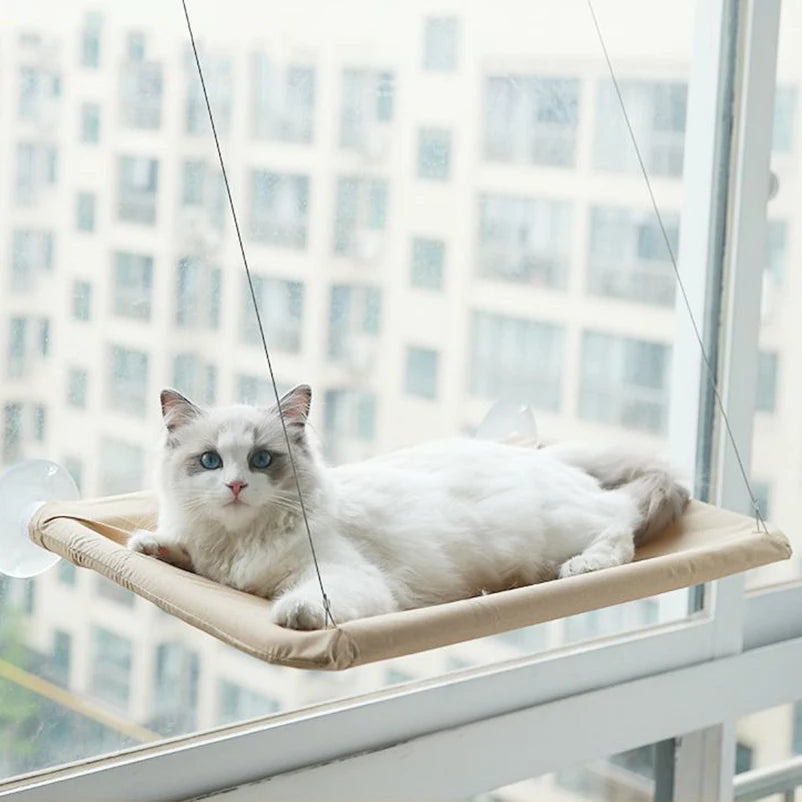 Un chat blanc se détend sur un lit-hamac fixé à une fenêtre à l'intérieur.