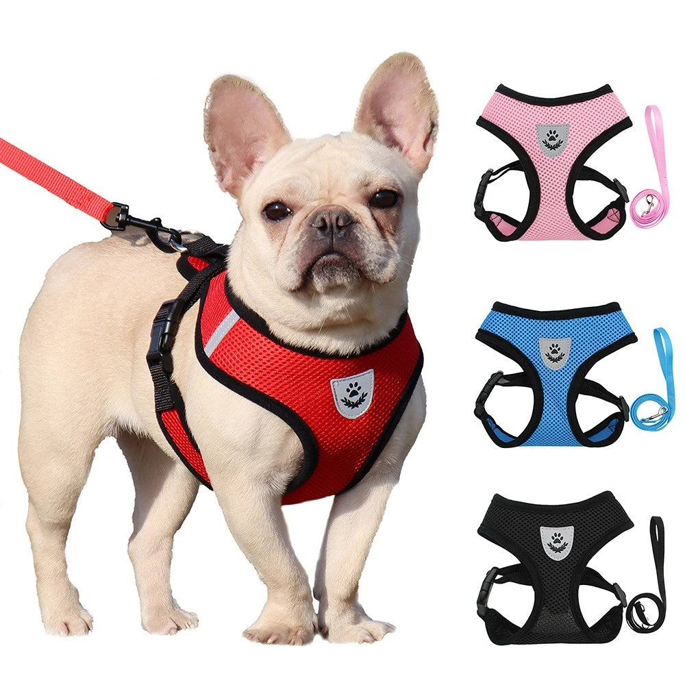 Adjustable Breathable Mesh Dog & Cat Harness with Leash