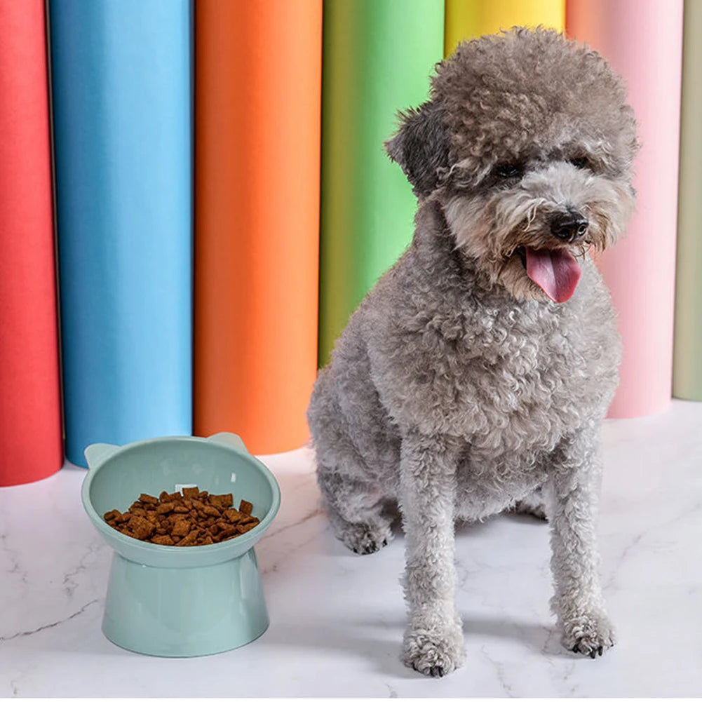 A fluffy gray dog sits next to a light blue bowl of dry cat food on a white marble surface.