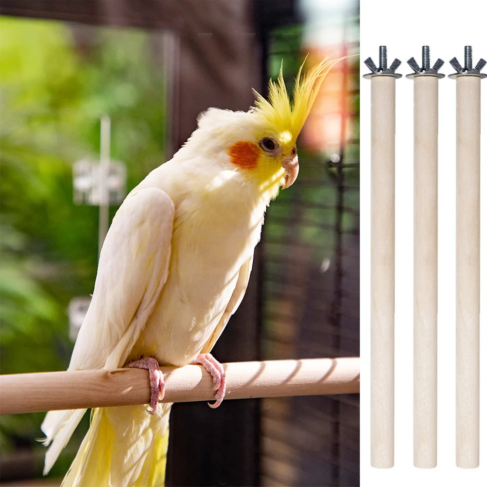 Natural wood hanging perch for parrots shown next to three wooden perches