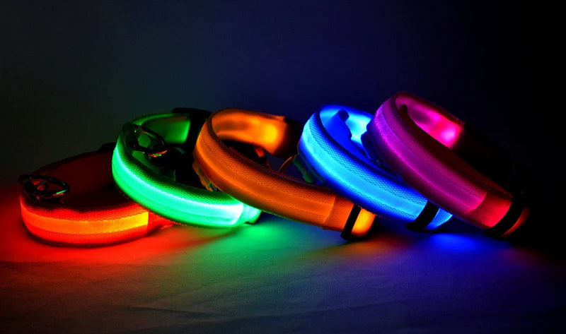 USB Charging Glowing Dog Collar with Pendant - Night Safety
