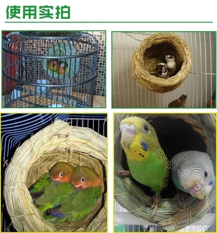 Nid d'oiseau en paille naturelle tissé à la main avec deux petits oiseaux à l'intérieur