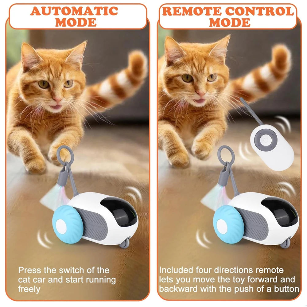 Un chat orange et duveteux court à côté d'une voiture télécommandée pour le divertissement.