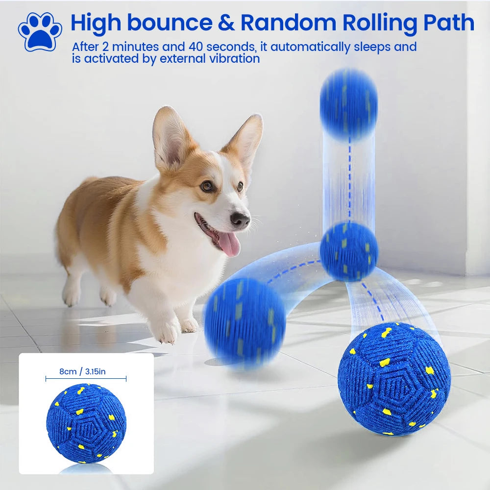 A small dog is interacting with a blue, spherical ball that is part of a bouncing path system.