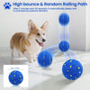 A small dog is interacting with a blue, spherical ball that is part of a bouncing path system.