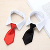 Corbata y Pajarita Formal para Mascotas