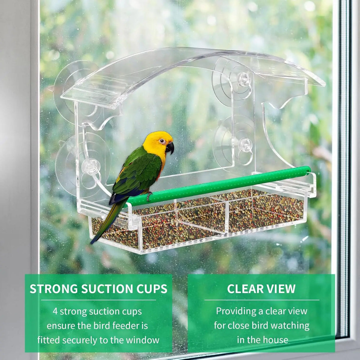 Acrylic window bird feeder with strong suction cups providing a clear view for close bird watching