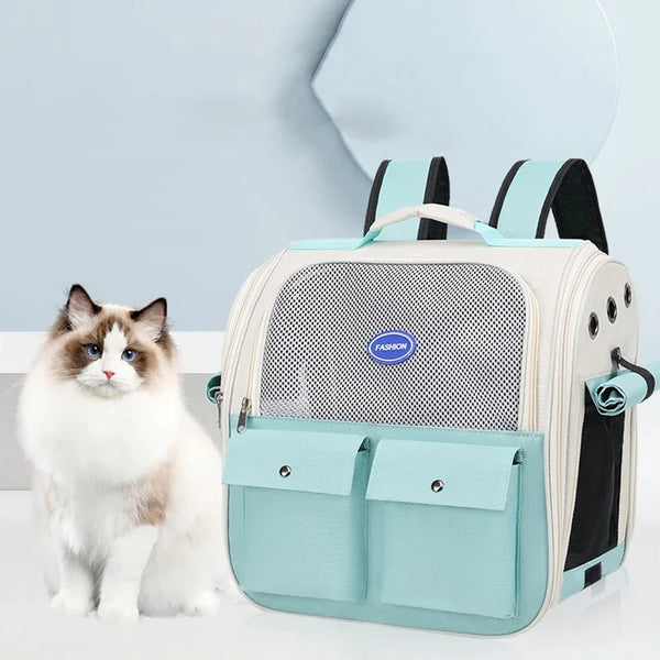 A light blue cat carrier backpack with gray and black accents sits next to a fluffy white and gray cat.