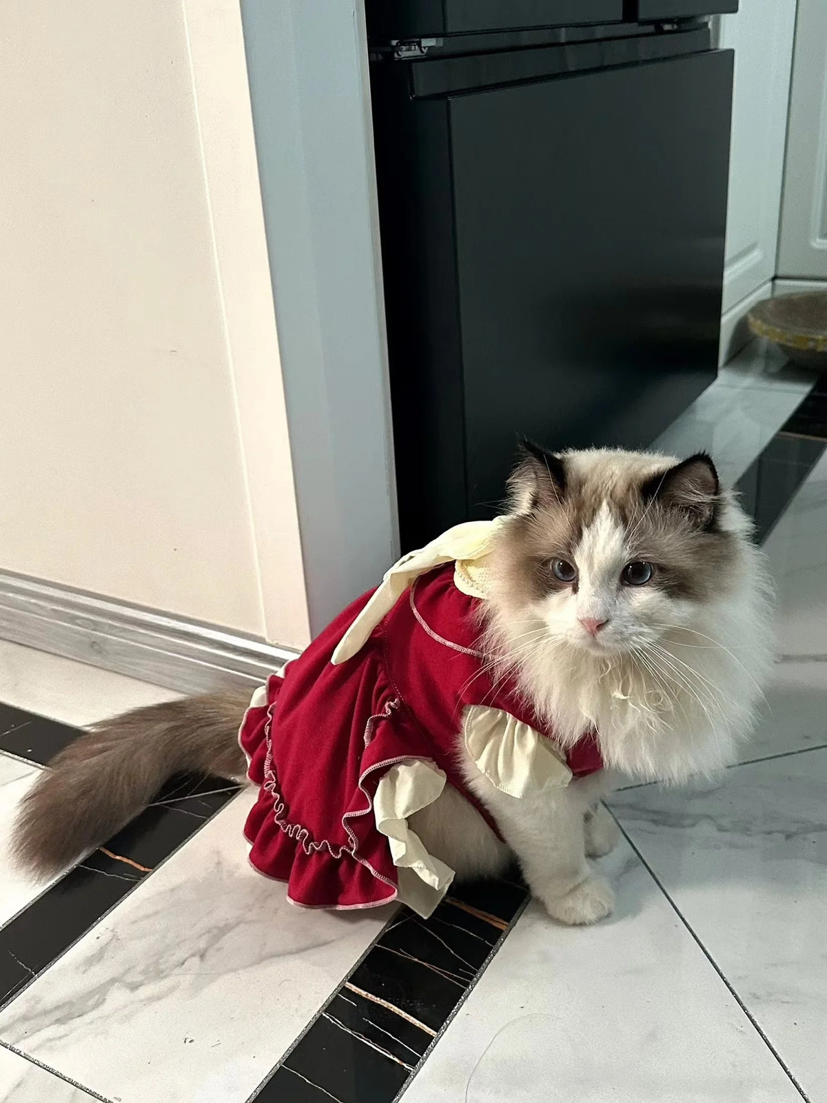 Elegant Cotton Pet Dress with Bow for Small Dogs and Cats