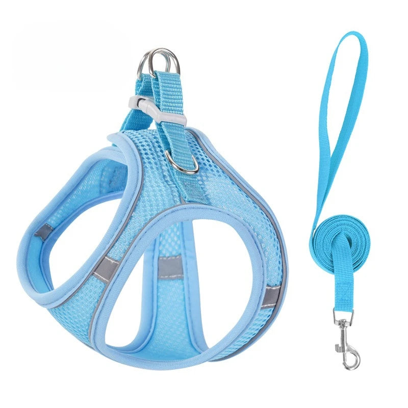A bright blue reflective no-pull dog harness with a leash attached.