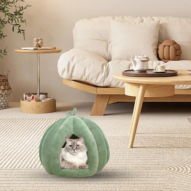 Lit pour chat en forme de citrouille d'Halloween