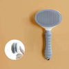 Peigne de toilettage en acier inoxydable pour animaux