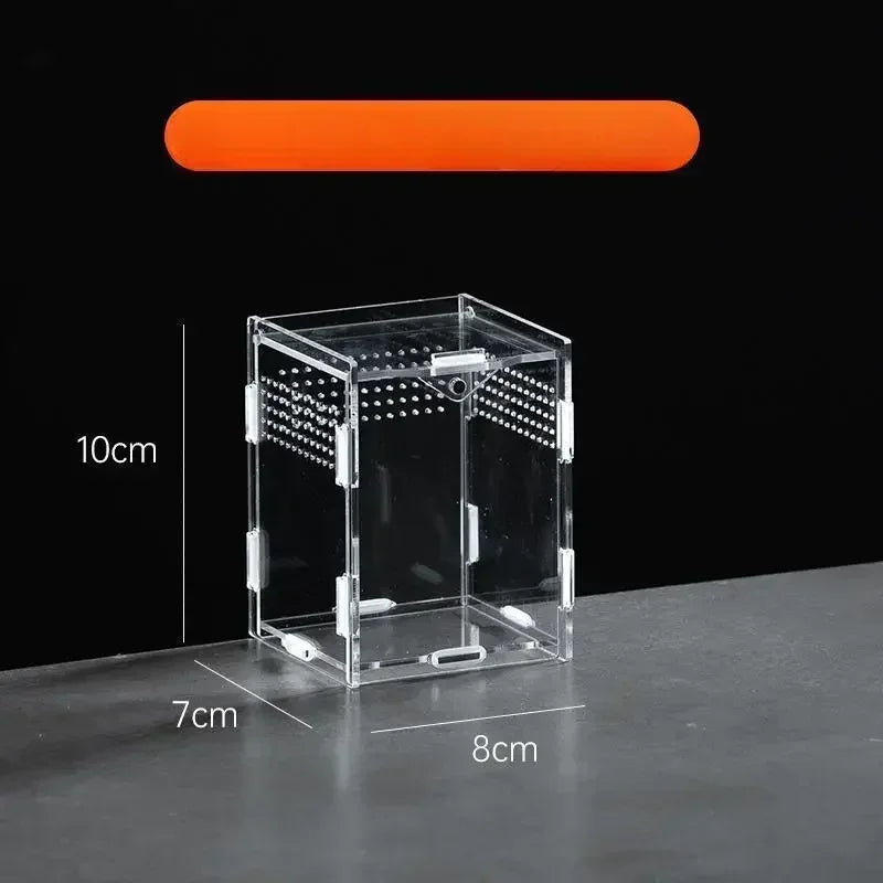 A clear acrylic reptile terrarium box with a bright orange light bar, shown on a dark surface.