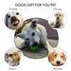 Balle interactive distributeur de friandises pour chien