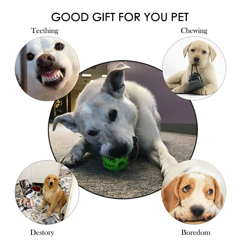 Balle interactive distributeur de friandises pour chien