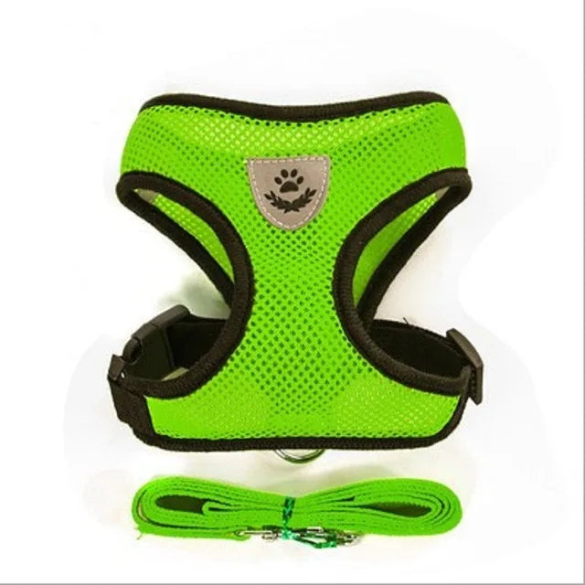 Verstellbares Mesh-Hundegeschirr und Leinen-Set