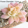 Artificial Succulent Bonsai Plant for Home Decor