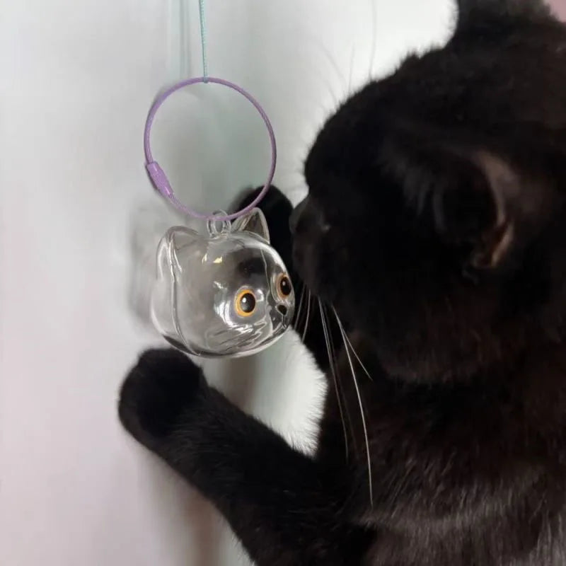 Eine schwarze Katze hält einen klaren, runden Haustierhaarkeychain mit einer lila Schlaufe.